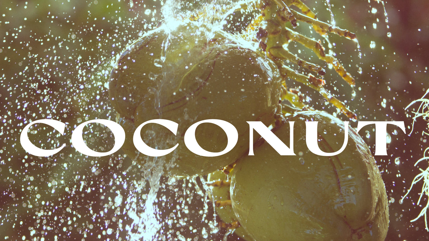 COCONUT OIL & THE TYPES OF MANUFACTURING